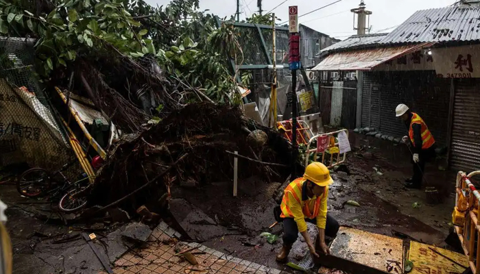 Workers clean up around a fallen tree caused by Typhoon Saola in a village in Lei Yue Mun in Hong Kong on Sept. 2. — AFP