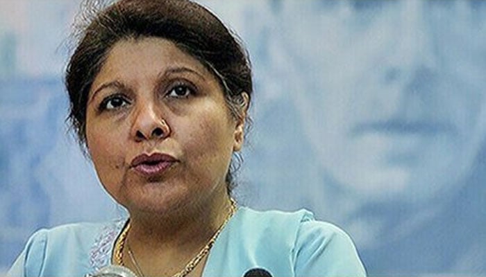 Dr Shamshad Akhtar asks FBR how it plans to plug widening revenue hole