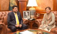 Finance minister meets Sindh governor, PBC members separately