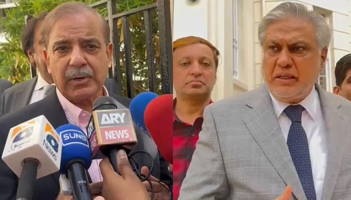 Former prime minister Shehbaz Sharif (L) and ex-finance minister Ishaq Dar. — Pics provided by authors