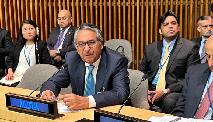 This image released on September 22, 2023 shows interim Foreign Minister Jalil Abbas Jilani. — X/@ForeignOfficePk