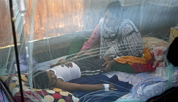 A person suffering from dengue can be seen inside a mosquito-safety net. — AFP/File
