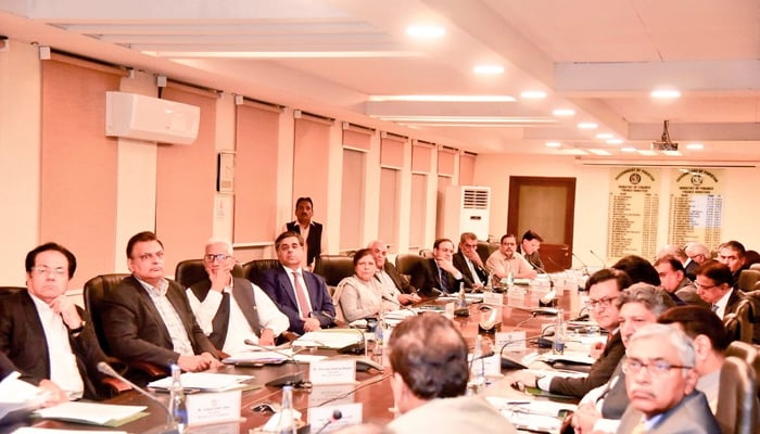 The Economic Coordination Committee (ECC) while in session under the chair of interim finance minister Dr Shamshad Akhtar in Islamabad in this picture released on October 3, 2023. — X/@FinMinistryPak