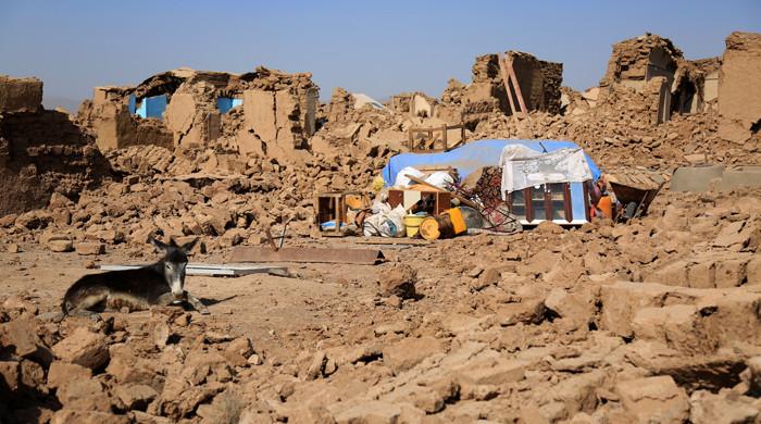 Afghans flee western region after fresh earthquake kills two - Vimarsana News