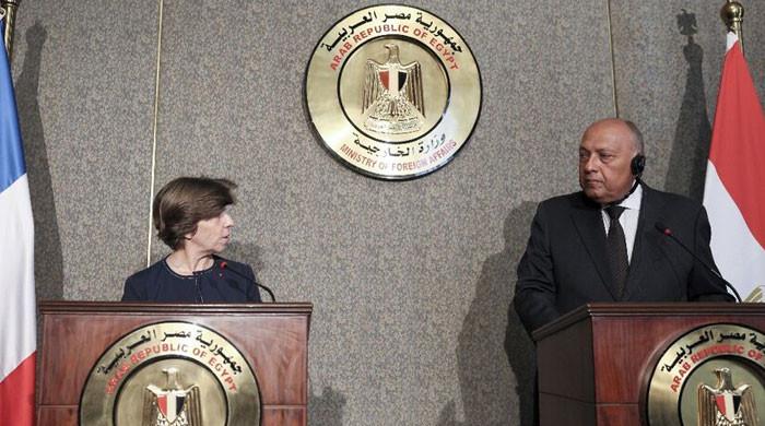 Egypt, France foreign ministers urge aid to Gaza through Rafah