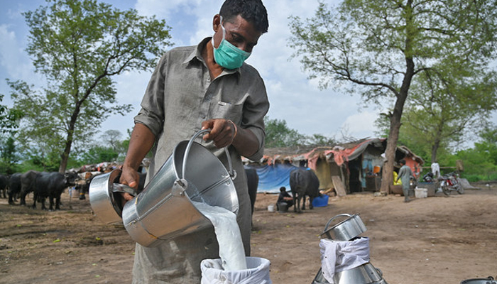 A vendor wearing a facemask fills a can with milk at a farm in Islamabad, Pakistan. — AFP/File