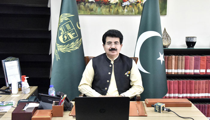 Sanjrani asks int’l community to help stop Palestinian pogrom
