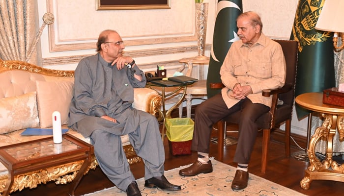 Pakistan Peoples Party co-chairman Asif Ali Zardari while meeting with the PML-N President Shehbaz Sharif in this picture released on June 15, 2023. — X/@GovtofPakistan