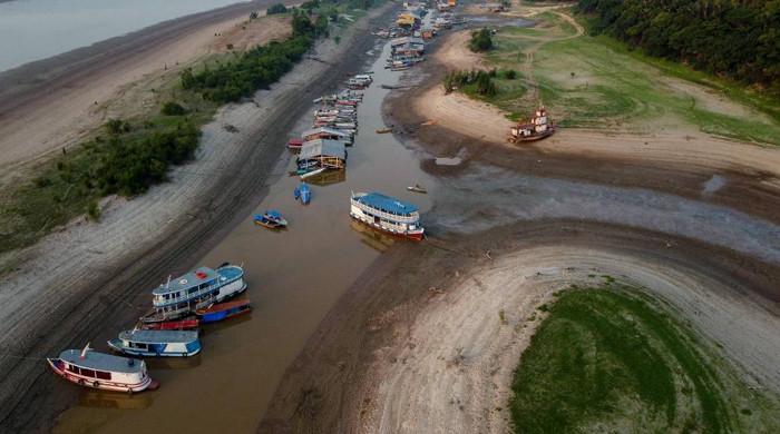 Drought in Brazil's Amazon reveals ancient engravings - Vimarsana News