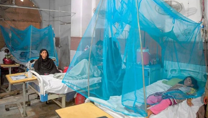 A photo shows patients in a dengue ward at a public hospital in Pakistan. — AFP/File