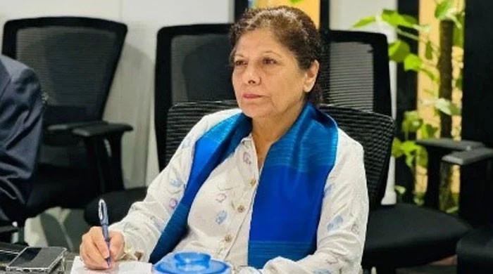 SIFC advises review, extension of import quotas for auto manufacturers - Vimarsana News