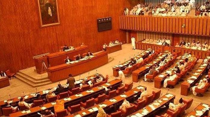 Senate panel approves criminal laws, anti-rape bills - Vimarsana News
