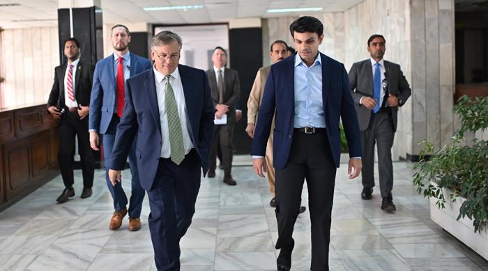 SAPM, US ambassador discuss mobilising US-Pak diaspora - Vimarsana News