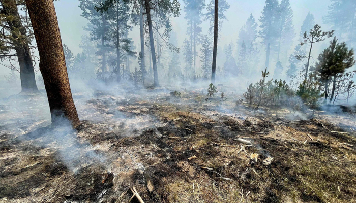 A smouldering fireline from the Bootleg Fire near Klamath Falls, Oregon, US. — AFP/File