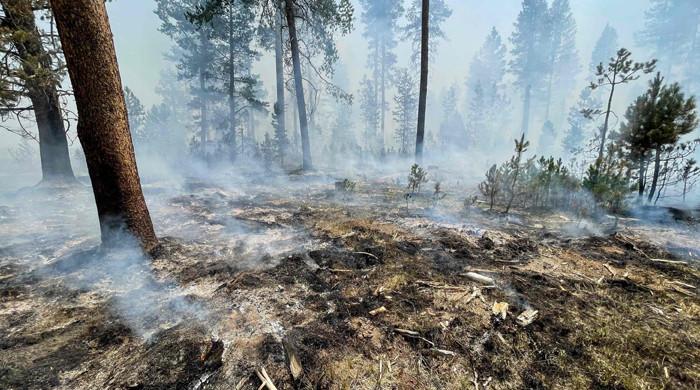 Initiative launched to combat climate change-related challenges - Vimarsana News