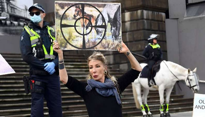 A woman holds a placard during a protest over the proposed culling of wild Australian horses in 2020. phys.org