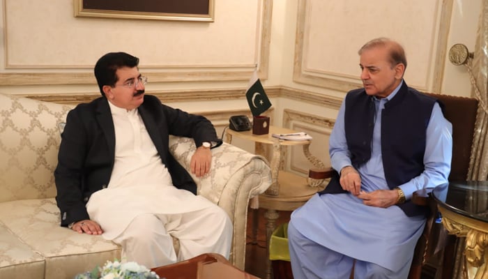 Senate Chairman Sadiq Sanjrani (left) while meeting with Pakistan Muslim League Nawaz (PMLN) President and former prime minister Shehbaz Sharif in Lahore on October 28, 2023. — X/@OfficeSenate