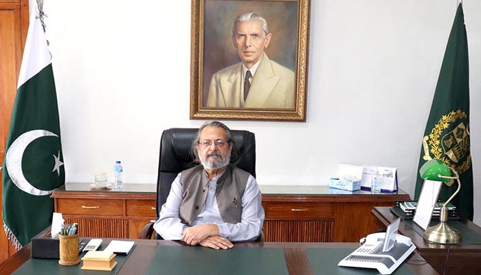 Federal Minister for Federal Education and Professional Training, Madad Ali Sindhi. — APP/File