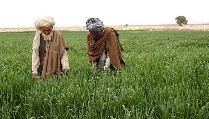 Corps Commander Peshawar Lieutenant General Sardar Hasan Azhar Hayat says that the Pakistan Army was determined to increase agricultural farming in Khyber Pakhtunkhwa. —picture courtesy ADB