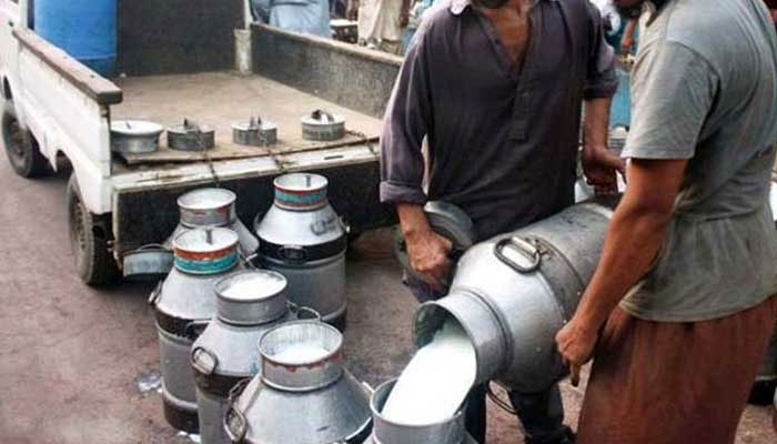 Dairy workers are seen busy in their usual work. — APP/File