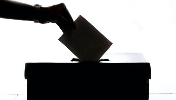 A representational image of a person voting. — Pexels