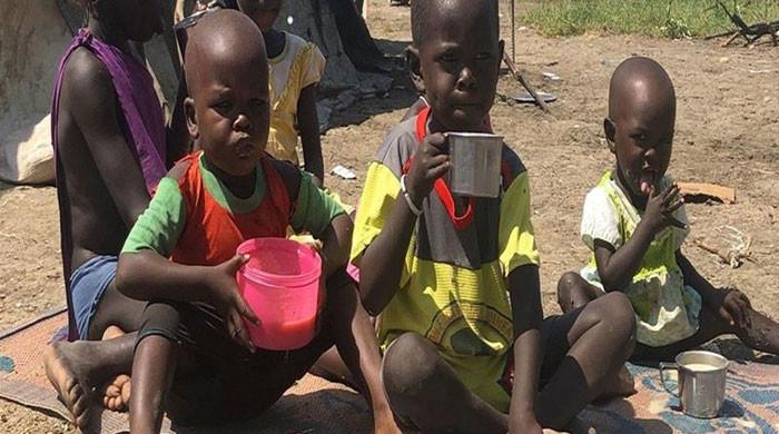 S Sudan floods leave 1.6 million children at risk of hunger: UN - Vimarsana News