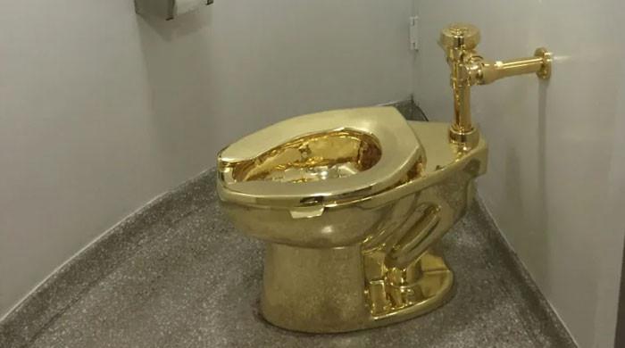 Four charged with theft of gold toilet from English stately home - Vimarsana News