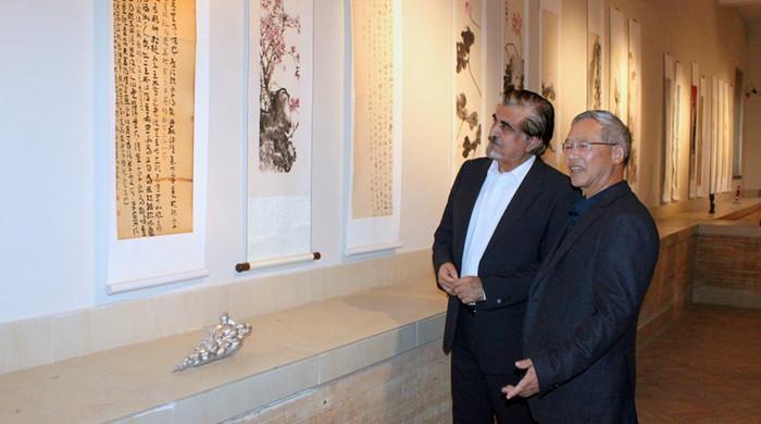 'Star Moon Road' expo illuminates Pak-China bond through art - Vimarsana News