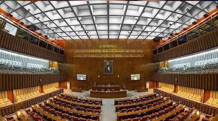 Caretaker govt's bid for legislation in Senate fails - Vimarsana News
