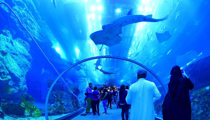 Tourists and locals visit the Dubai Mall aquarium in downtown Dubai, January 2, 2019. — AFP