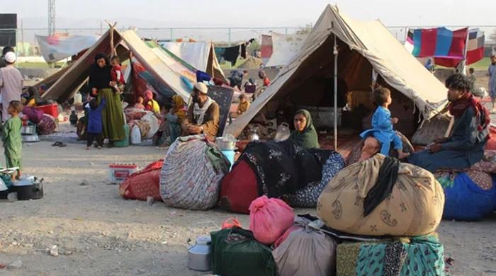 Repatriation of illegal immigrants: EU says Pakistan's action not in line with international laws - Vimarsana News