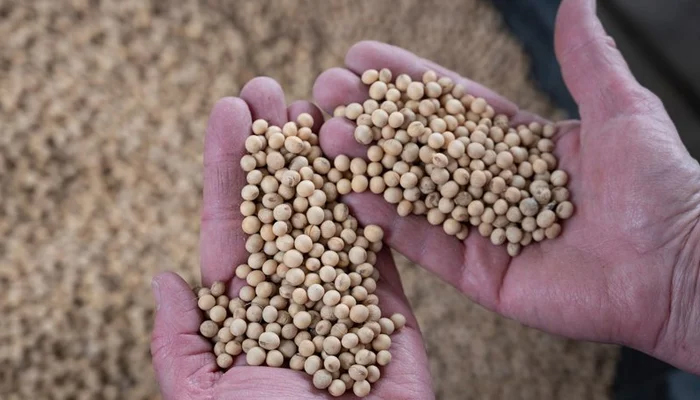 A representational image of a person showing seeds. — AFP/File