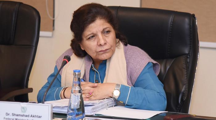 Power, gas tariffs to be hiked again: Shamshad - Vimarsana News