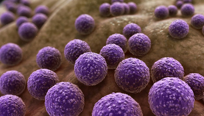 Representational image. — UNEP