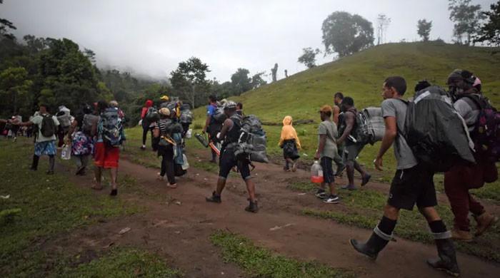 Hundreds of migrants face sex attacks in Darien Gap: MSF - Vimarsana News