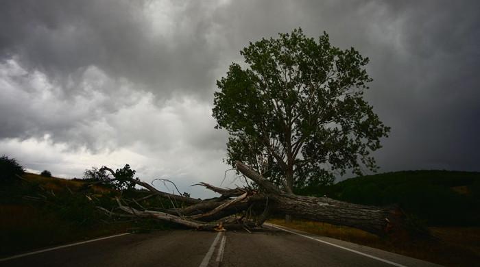 Two killed as stormy winds lash Bulgaria, Romania