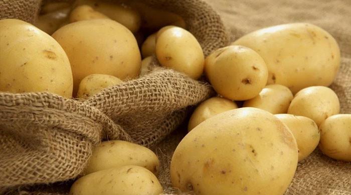 Potato value chain, exports discussed - Vimarsana News