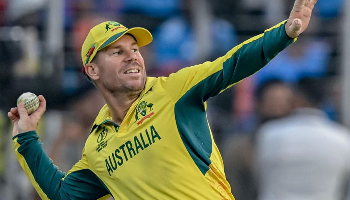 Australias David Warner will miss the T20 series in India. — AFP File