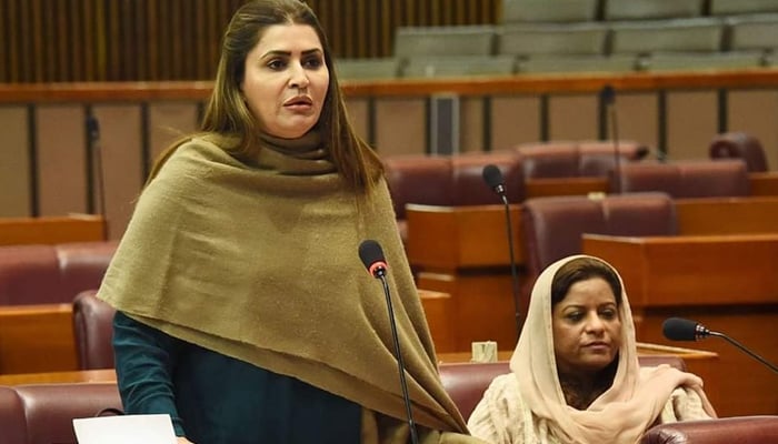 Pakistan Peoples Party (PPP) senior leader Shazia Marri can be seen during a National Assembly session in this image on November 5, 2022. — Facebook/Shazia Atta Marri