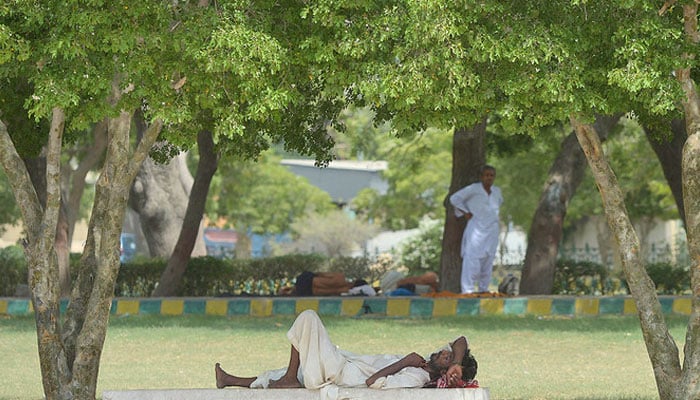 A Pakistani man rests under the shade of trees during a heatwave in Karachi, Pakistan, on June 23, 2015. — AFP