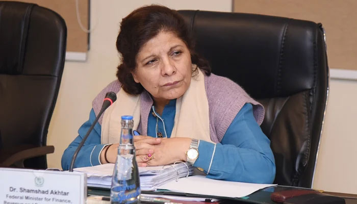 Caretaker Minister for Finance Dr Shamshad Akhtar during an ECC meeting in Islamabad on November 15, 2023. — X/@FinMinistryPak