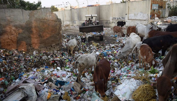 In this photograph taken on January 24, 2017, a Pakistani municipal worker dumps garbage in a residential area of Karachi.  —AFP File