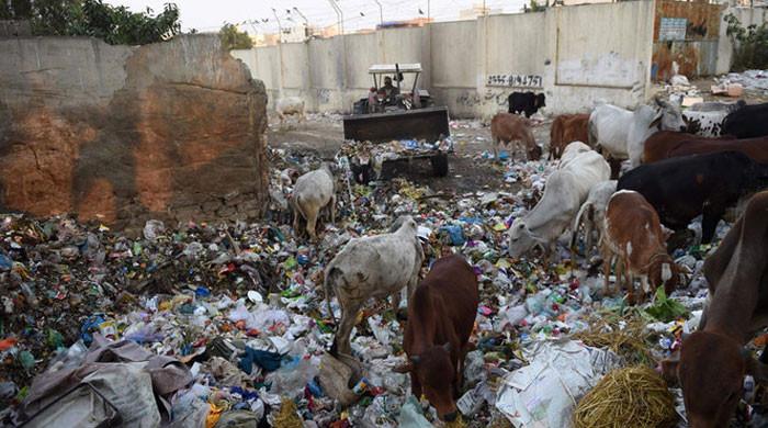 PHC halts garbage dumping in Salhad dumping ground - Vimarsana News