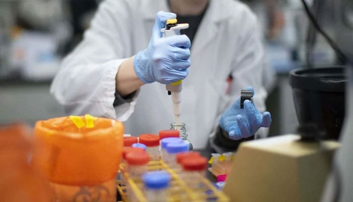 An expert is seen working in a lab. — AFP/File