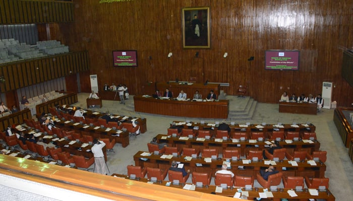 The Senate while in a session. — Senate of Pakistan website/File