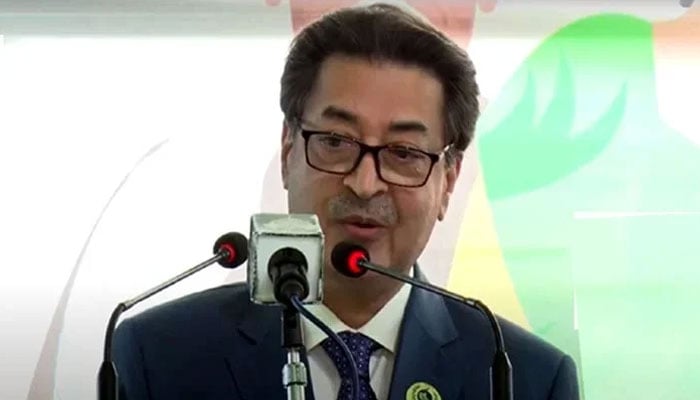 Chief Election Commissioner (CEC) Sikandar Sultan Raja. — Radio Pakistan/File