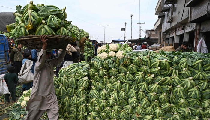 A labourer carries a basket of cabbages at a vegetable market in Islamabad on February 3, 2023. — AFP