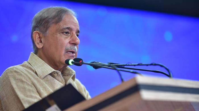 Shehbaz praises beauty of Sindhi culture - Vimarsana News