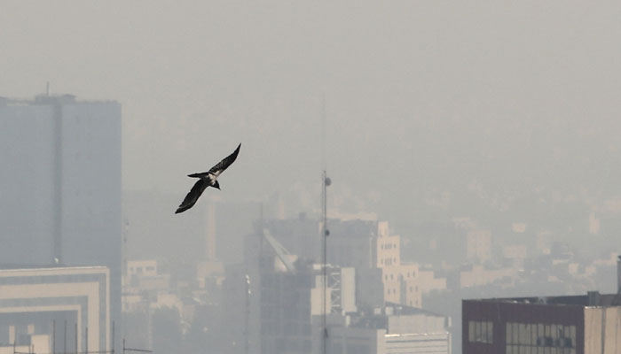 A bird flies above buildings as smog covers Tehran on November 26, 2023.— AFP