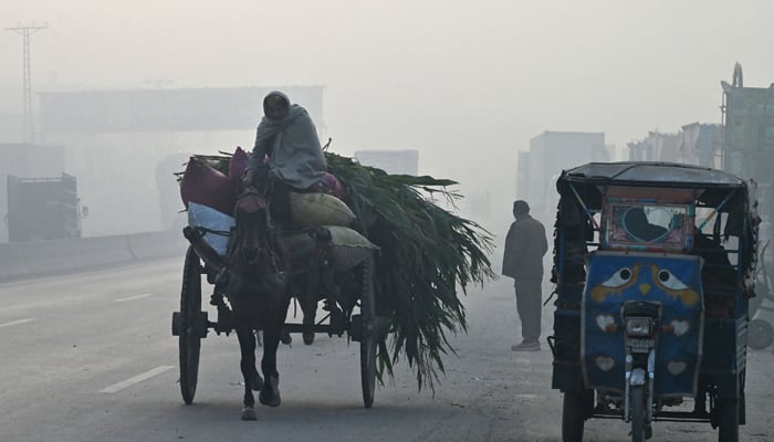 A man rides a horsecart along a street amid dense smog in Lahore on December 4, 2023. — AFP